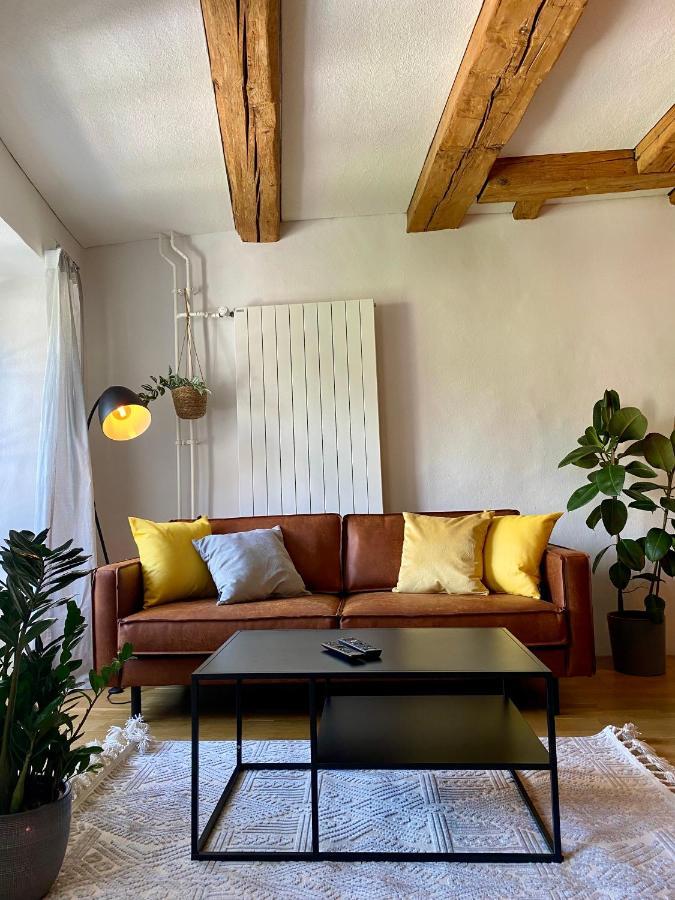 Apartment Charmante Altstadtwohnung 3 Og Solothurn